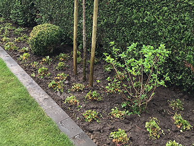 objektpflege-400×300